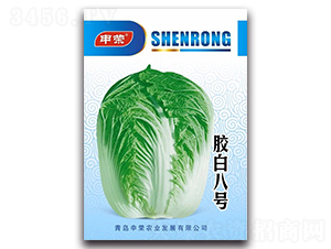 �z�װ�̖(h��o)-��ײ˷N��-��s�r(n��ng)�I(y��)