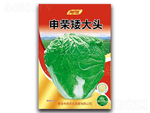 ��s�����^-��ײ˷N��-��s�r(n��ng)�I(y��)