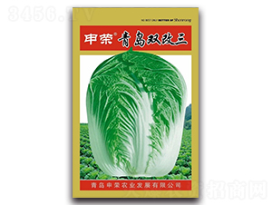 ���u�p����-��ײ˷N��-��s�r(n��ng)�I(y��)