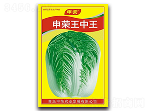 申榮王中王-大白菜種子-申榮農(nóng)業(yè)