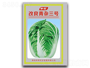 改良青雜三號-大白菜種子-申榮農(nóng)業(yè)