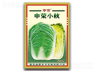 申榮小秋-大白菜種子-申榮農(nóng)業(yè)