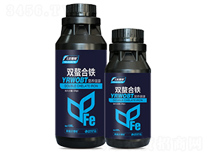 �p�����F-Ӣ���ֲ���