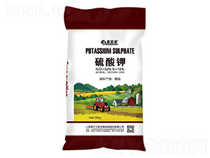 �����-ʩ�~��-����Ԫ��