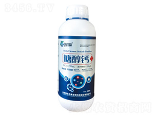 �Ǵ��}-�|�p�A-����Ԫ��