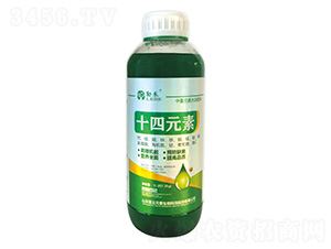 ʮ��Ԫ��-�պ�-����Ԫ��