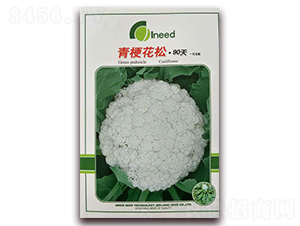 青?；ㄋ?0天-松花菜種子-艾尼德