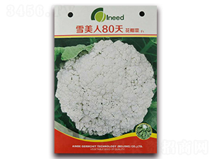 ѩ����80�컨Ҭ��F1-��Ҭ�˷N��-�����