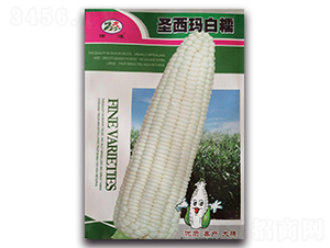 ʥ������Ŵ-Ŵ���׷N��-¡�_(d��)