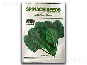 ���v����-���˷N��-¡�_(d��)