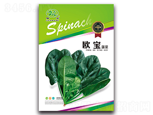 �W������-���˷N��-¡�_(d��)