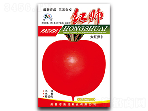 �t����t�}��-�}���N��-¡�_(d��)