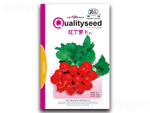 �t���}��F1-�}���N��-¡�_(d��)