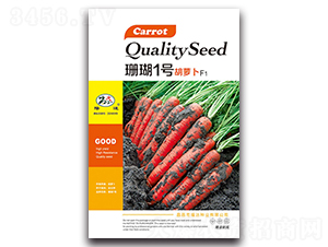 珊瑚1號胡蘿卜F1-胡蘿卜種子-隆達