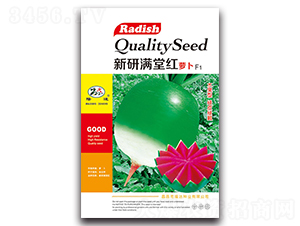 新研滿堂紅蘿卜F1-蘿卜種子-隆達(dá)