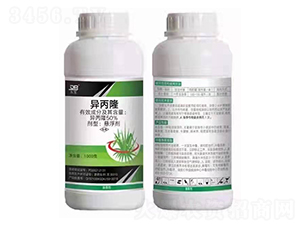 50%����¡�Ҹ���-�|��