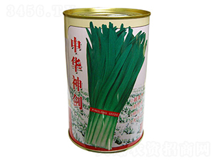 中華神劍F1-韭菜種子-平龍種業(yè)