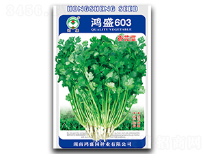 ��ʢ603-ܾݴ�N��-��ʢ�@