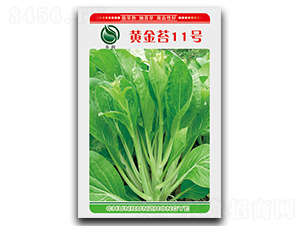 �S��̦11̖(h��o)-��̦�N��-��ʢ�@