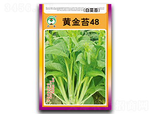 �S��̦48-��̦�N��-��ʢ�@