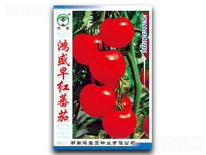 ��ʢ��t-���ѷN��-��ʢ�@