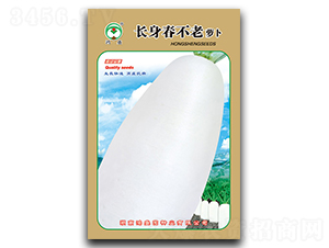 �L(zh��ng)��������-�}���N��-��ʢ�@