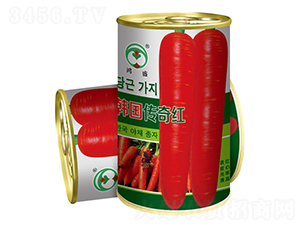 �n��(gu��)����t-���}���N��-��ʢ�@