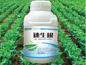 ������-�ñ�¡-�r�����S