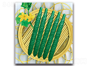 �½�13̖(h��o)-�S�ϷN��-�����o(j��)�N��