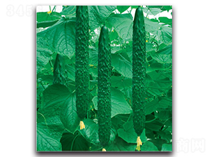 S1882-�S�ϷN��-�����o(j��)�N��