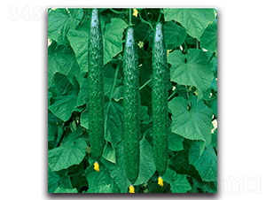 S45-�S�ϷN��-�����o(j��)�N��