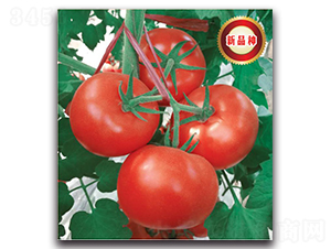 �����214-���ѷN��-�����o�N��