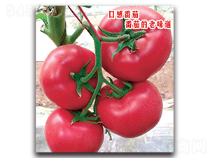 ���F��233-���ѷN��-�����o�N��