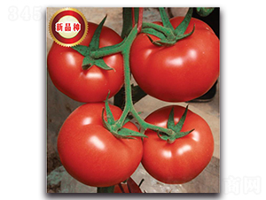 TMR17359-���ѷN��-�����o�N��