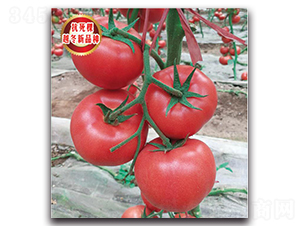 TMP18326-���ѷN��-�����o�N��