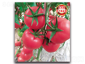 TMP17179-���ѷN��-�����o�N��