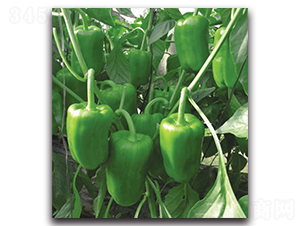 ���o(j��)��-�����N��-�����o(j��)�N��