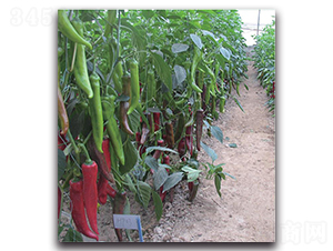 ����-�����N��-�����o(j��)�N��