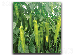 HP1728-�����N��-�����o�N��