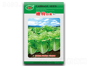 ����-�ײ˷N��-��ʢ�@