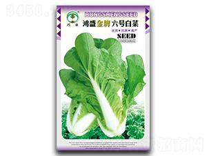 ��ʢ������̖-�ײ˷N��-��ʢ�@