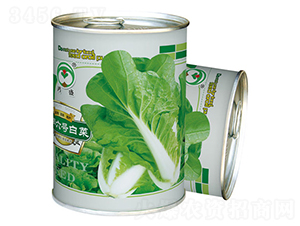 鴻盛金牌六號（罐）-白菜種子-鴻盛園