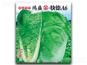 鴻盛金·快德A6-白菜種子-鴻盛園