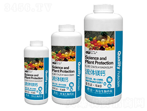 ���w�V�}-������