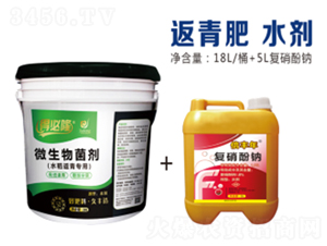 水稻返青專用微生物菌劑-得必隆-農(nóng)墾久豐