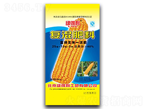 ���׌��Ïͻ����25-10-5-�G����