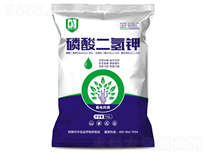 ��������-���I(l��ng)�r(n��ng)�I(y��)