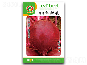 ���S�t���-��˷N��-�����N�I(y��)