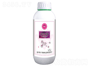 ���w�F-���r(n��ng)-̩����