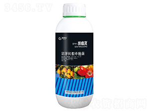 �ӝɼt�نΰ���-̿���`-̩����